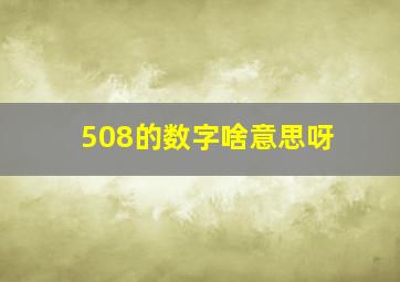 508的数字啥意思呀