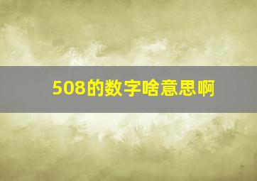 508的数字啥意思啊