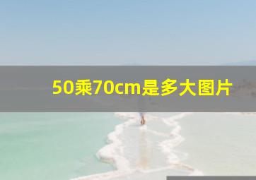 50乘70cm是多大图片