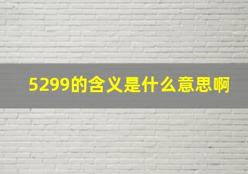 5299的含义是什么意思啊