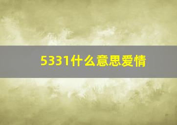 5331什么意思爱情