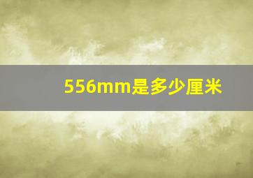 556mm是多少厘米