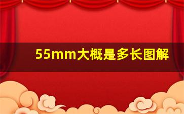 55mm大概是多长图解