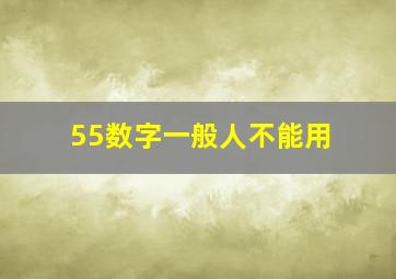 55数字一般人不能用