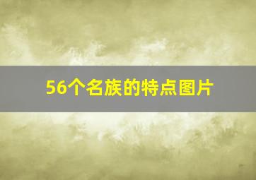 56个名族的特点图片