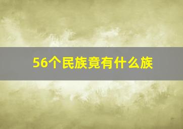 56个民族竟有什么族