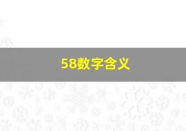 58数字含义