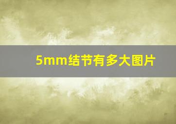 5mm结节有多大图片