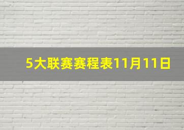 5大联赛赛程表11月11日