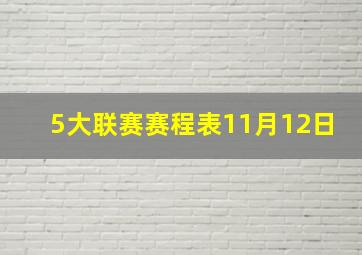 5大联赛赛程表11月12日