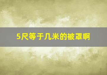 5尺等于几米的被罩啊