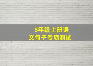 5年级上册语文句子专项测试