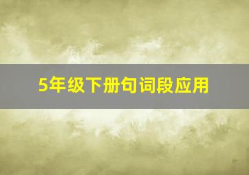 5年级下册句词段应用