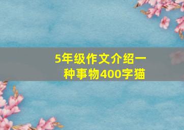 5年级作文介绍一种事物400字猫