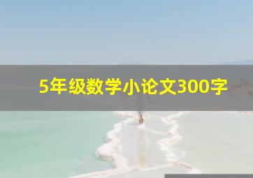 5年级数学小论文300字