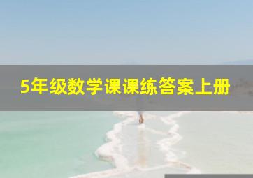 5年级数学课课练答案上册