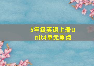 5年级英语上册unit4单元重点