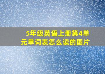 5年级英语上册第4单元单词表怎么读的图片