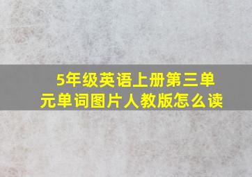 5年级英语上册第三单元单词图片人教版怎么读