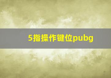 5指操作键位pubg