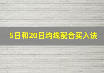 5日和20日均线配合买入法