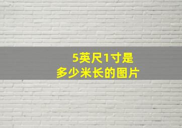 5英尺1寸是多少米长的图片