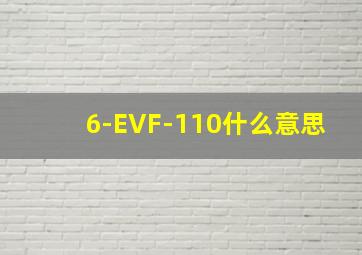 6-EVF-110什么意思