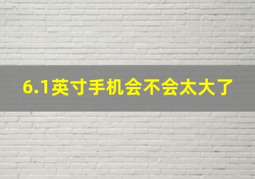 6.1英寸手机会不会太大了