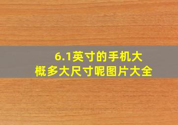 6.1英寸的手机大概多大尺寸呢图片大全