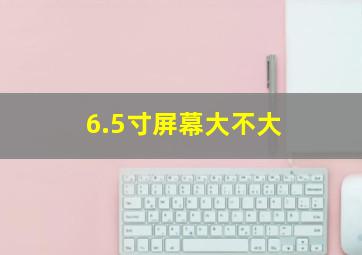 6.5寸屏幕大不大