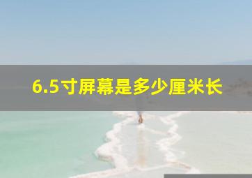 6.5寸屏幕是多少厘米长