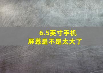 6.5英寸手机屏幕是不是太大了