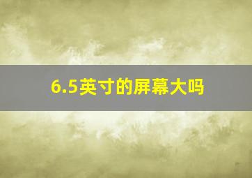 6.5英寸的屏幕大吗