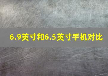 6.9英寸和6.5英寸手机对比