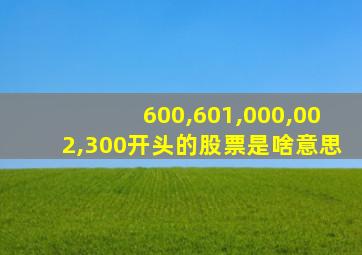 600,601,000,002,300开头的股票是啥意思