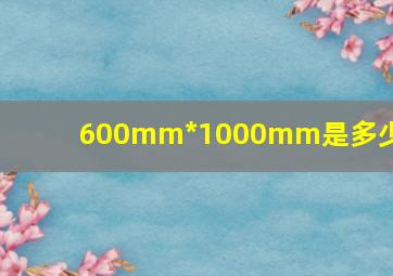 600mm*1000mm是多少啊