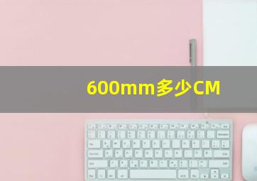 600mm多少CM