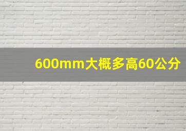 600mm大概多高60公分