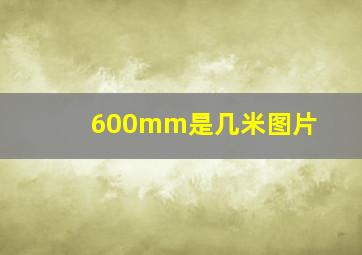 600mm是几米图片