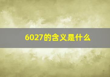 6027的含义是什么