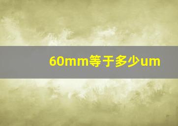 60mm等于多少um