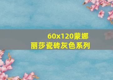 60x120蒙娜丽莎瓷砖灰色系列