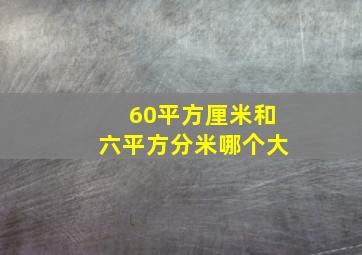 60平方厘米和六平方分米哪个大