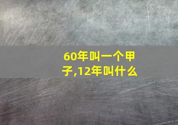 60年叫一个甲子,12年叫什么