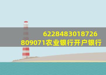 6228483018726809071农业银行开户银行