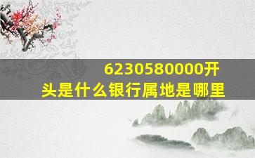 6230580000开头是什么银行属地是哪里