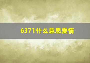 6371什么意思爱情