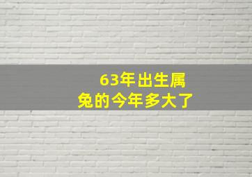 63年出生属兔的今年多大了