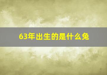 63年出生的是什么兔