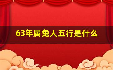 63年属兔人五行是什么